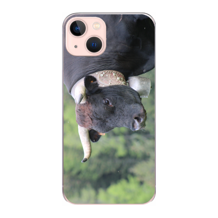 Cover personalizzata iPhone 13