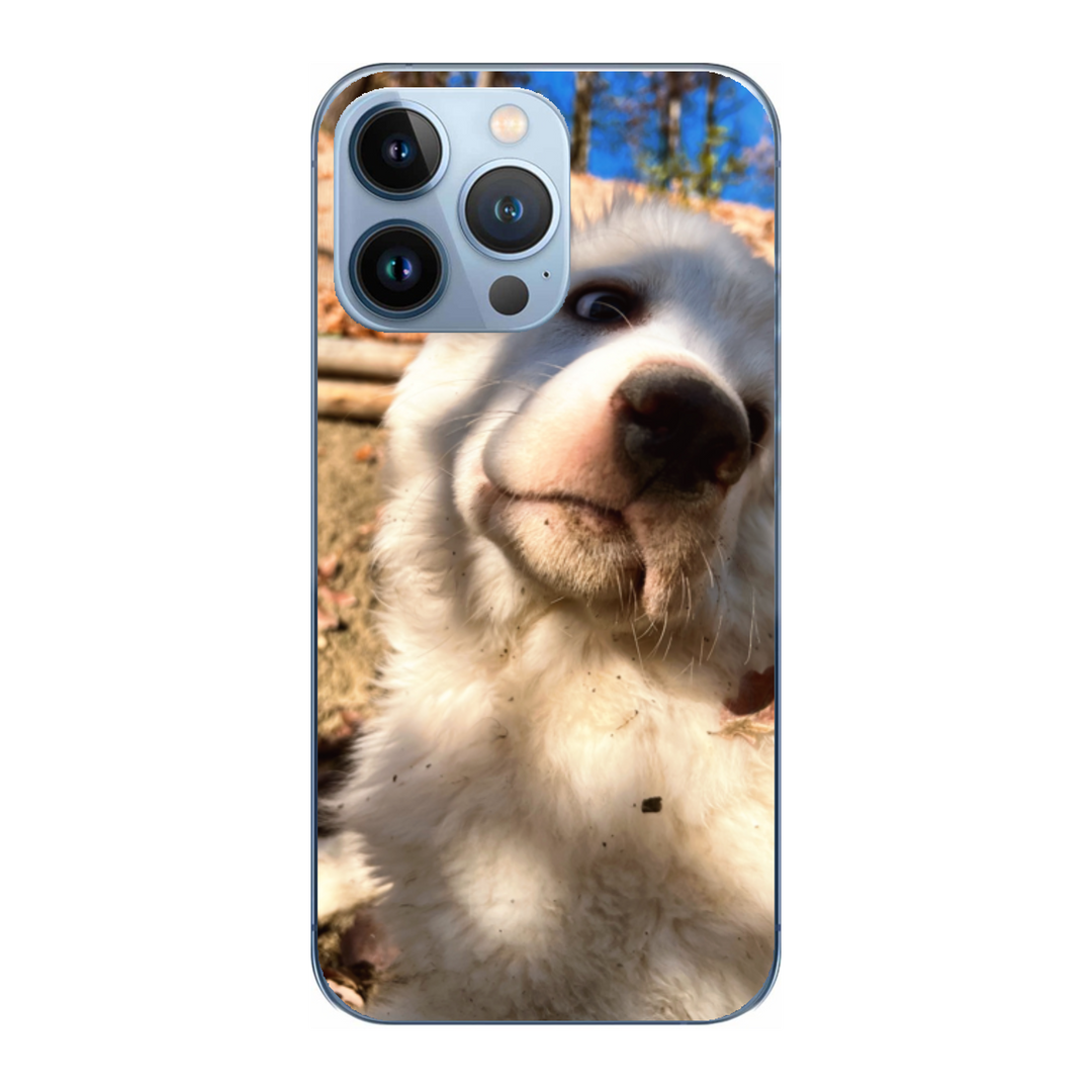 Cover personalizzata iPhone 13 Pro