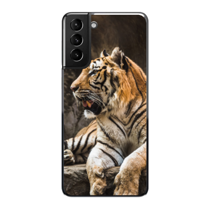 Cover personalizzata Samsung S21 Plus 5G