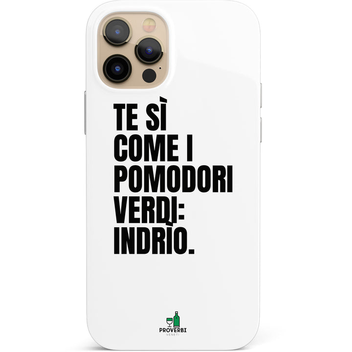 Cover Pomodori verdi dell'album Coesìon domìeventiquatro di Proverbi veneti per iPhone, Samsung, Xiaomi e altri